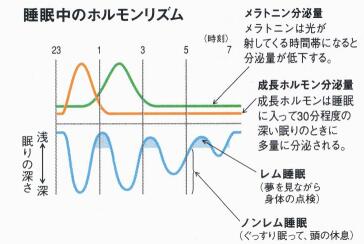 睡眠とメラトニン